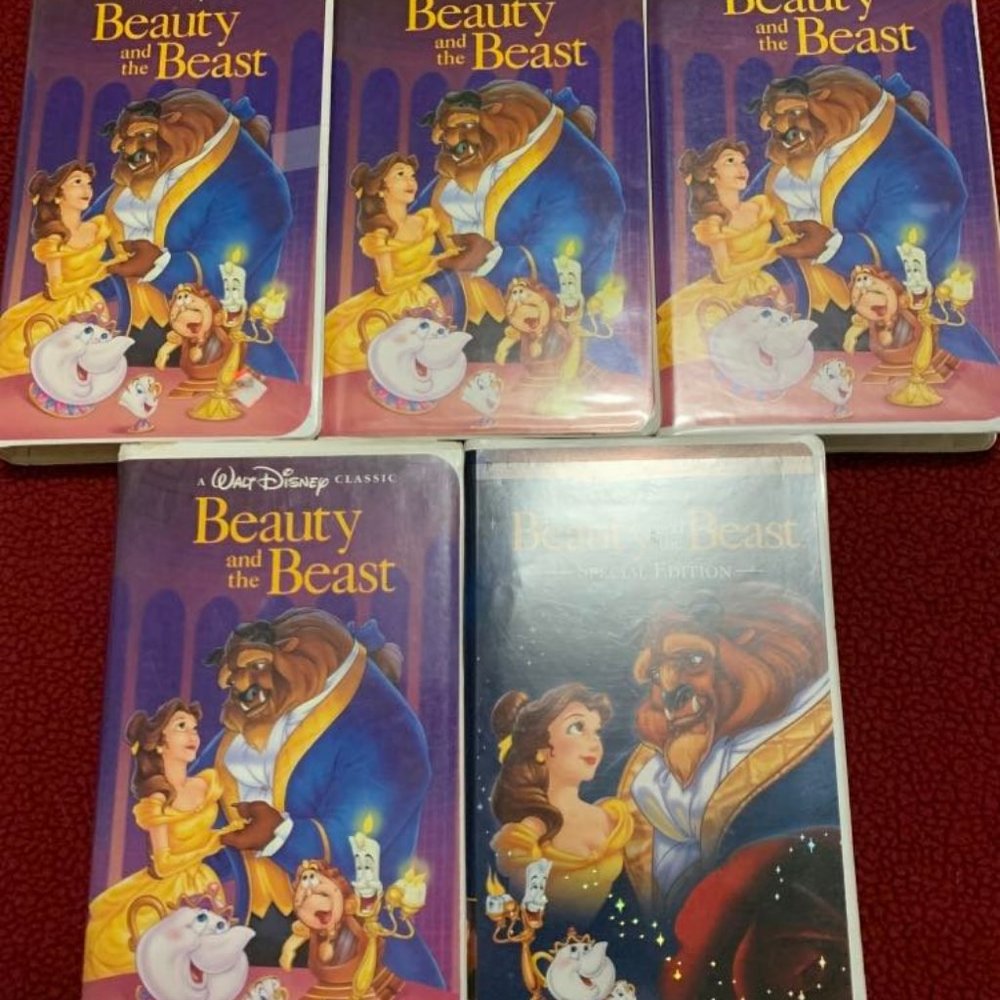 Beauty in the Beast
